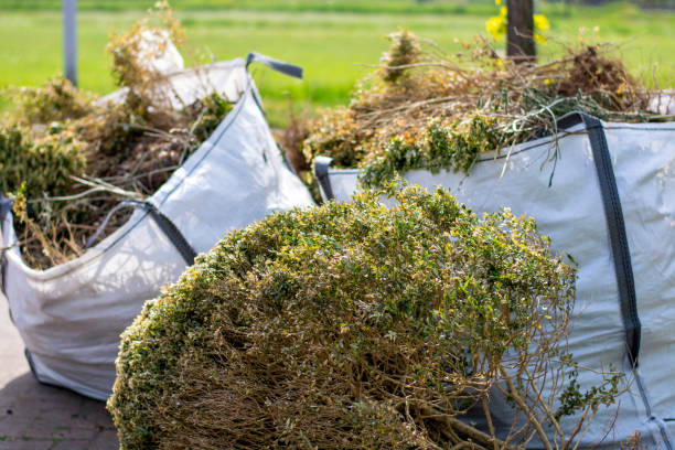 Professional Junk Removal in Walbridge, OH