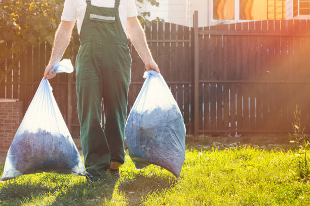 Best Local Junk Hauling  in Walbridge, OH