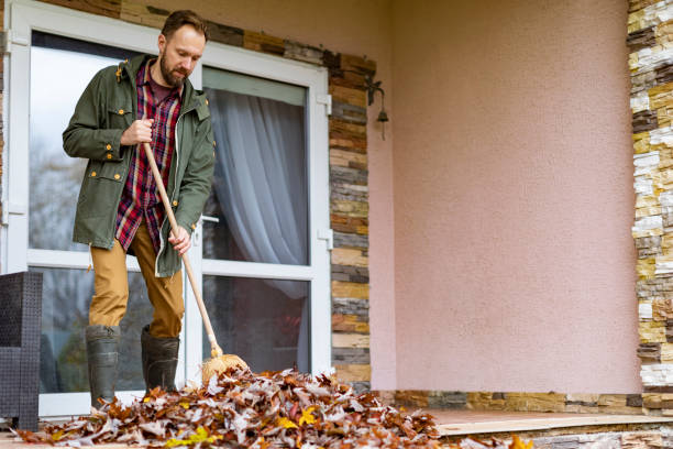 Best Professional Junk Removal  in Walbridge, OH